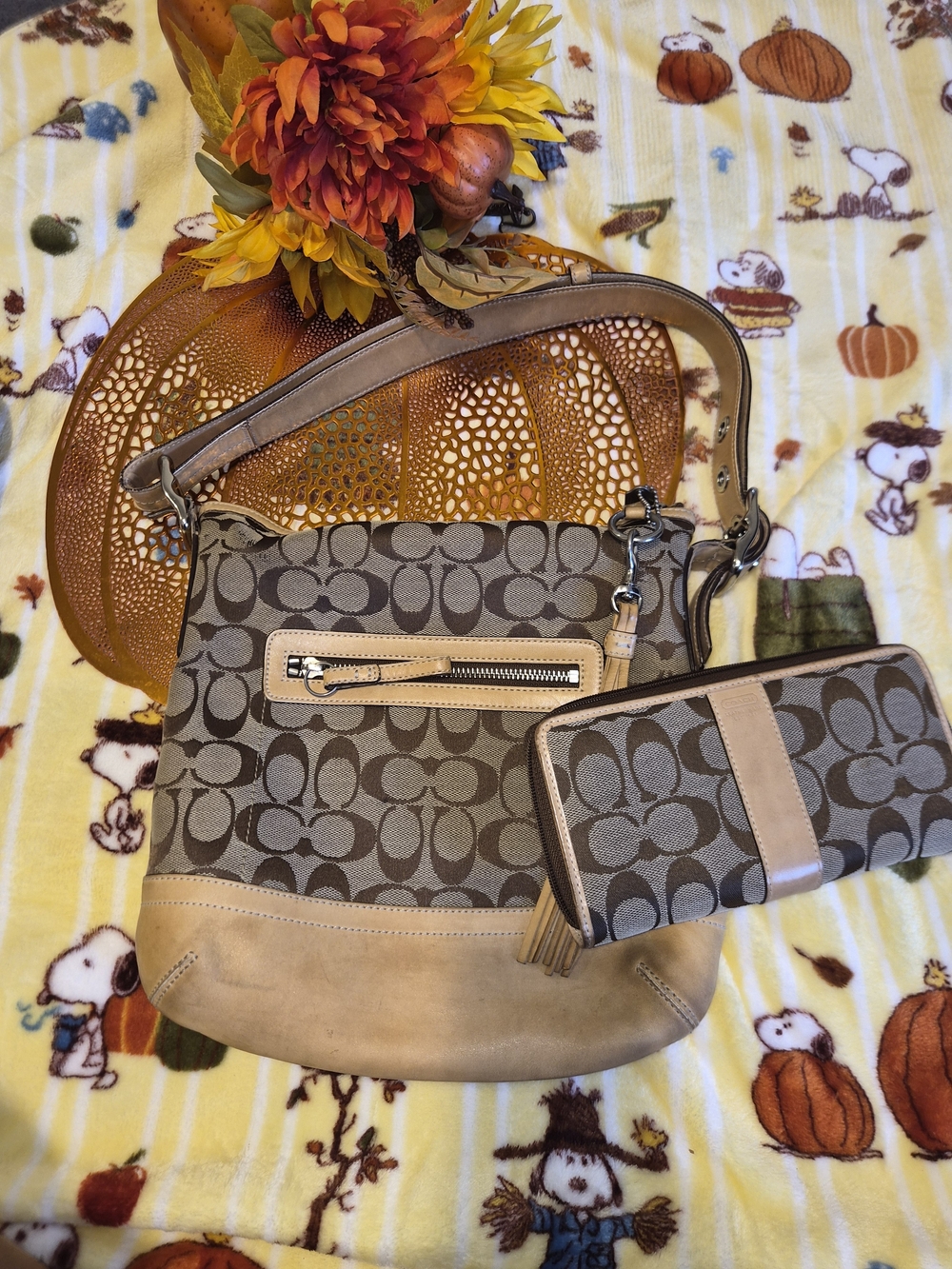Coach Signature Canvas Hobo Bag and Wallet - Khaki/Tan